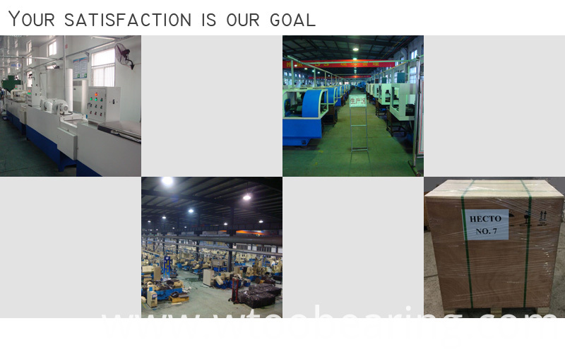 Needle Roller and Cage Assemblies Needle Bearing Kzk